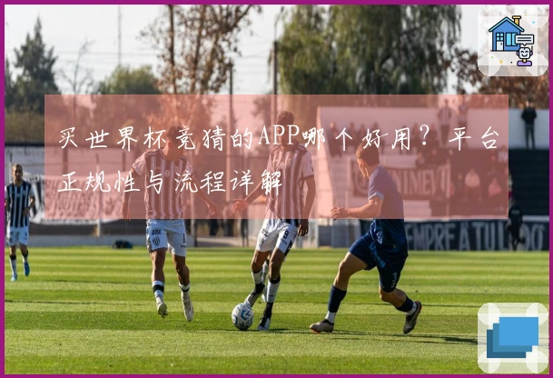 买世界杯竞猜的APP哪个好用？平台正规性与流程详解