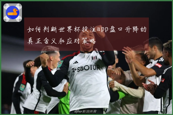 如何判断世界杯投注app盘口升降的真正含义和应对策略