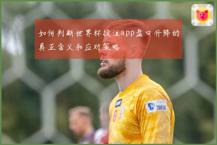如何判断世界杯投注app盘口升降的真正含义和应对策略