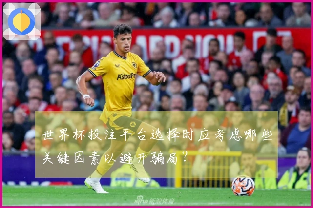 世界杯投注平台选择时应考虑哪些关键因素以避开骗局？