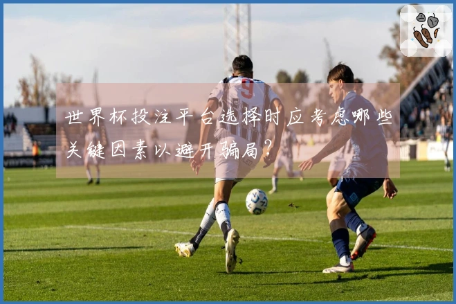 世界杯投注平台选择时应考虑哪些关键因素以避开骗局？